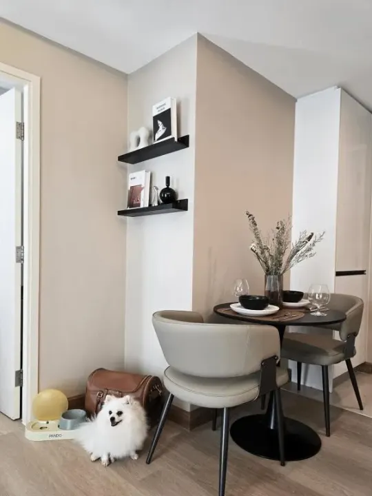 Property photos for Maestro 39