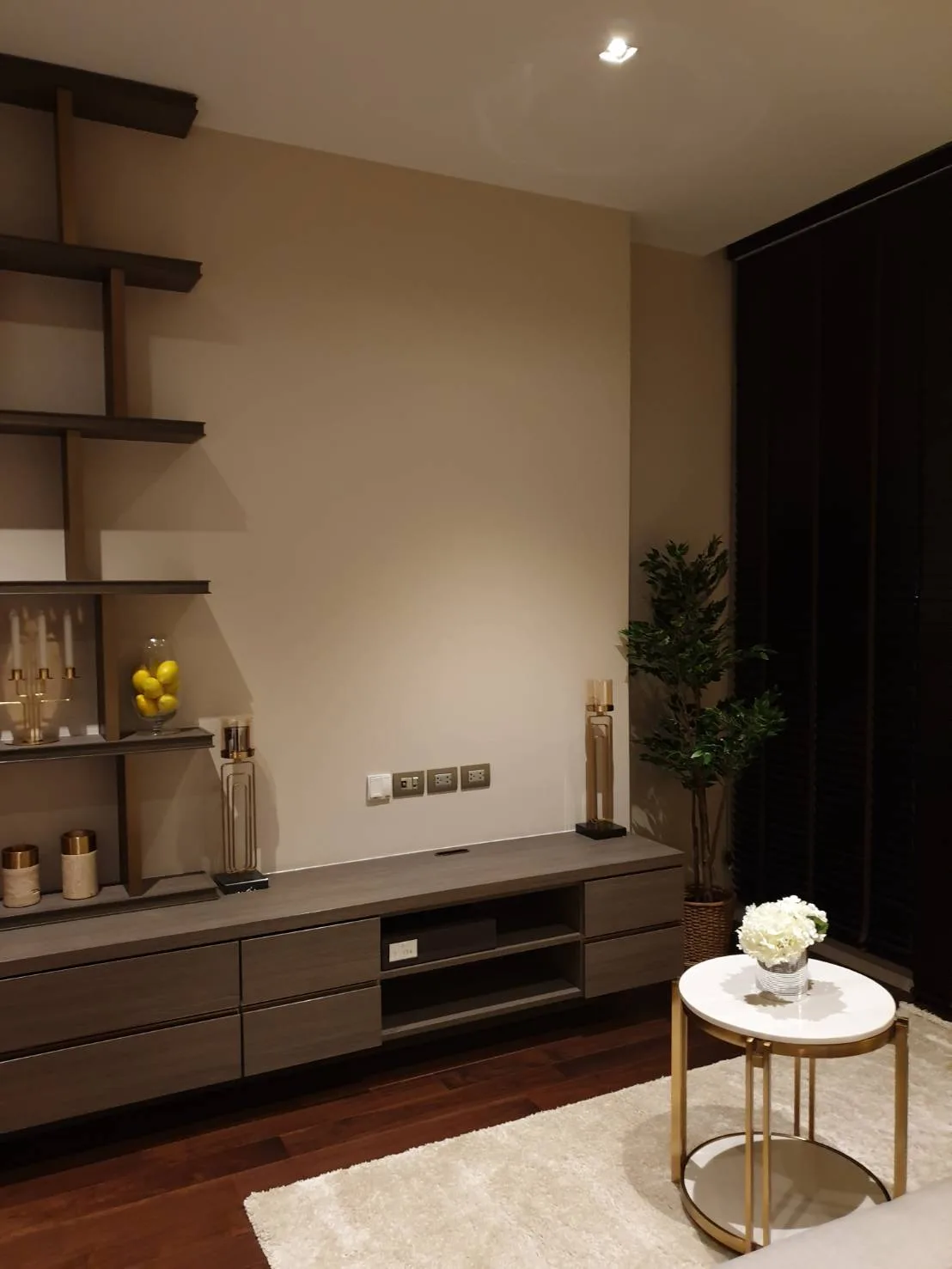 Property photos for The Diplomat 39