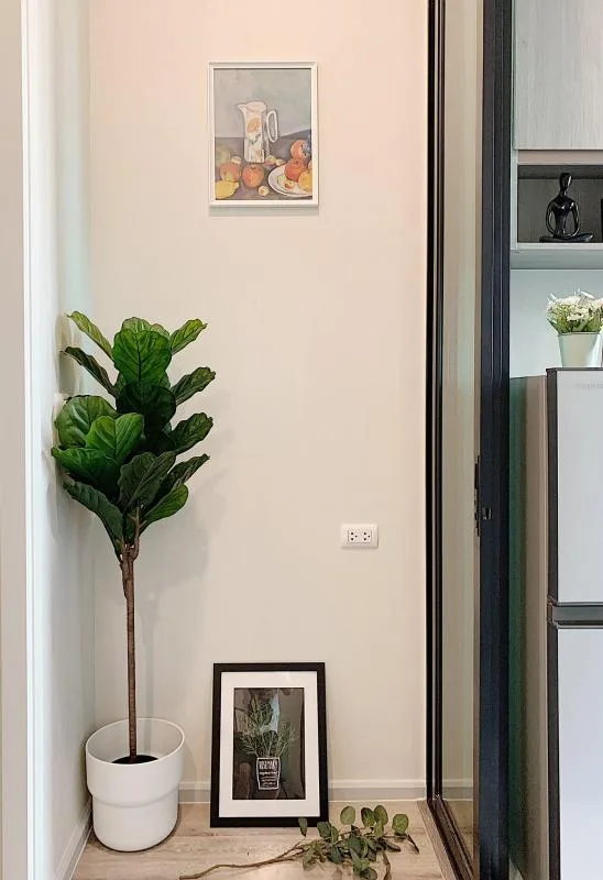 Property photos for KNIGHTSBRIDGE COLLAGE RAMKHAMHAENG