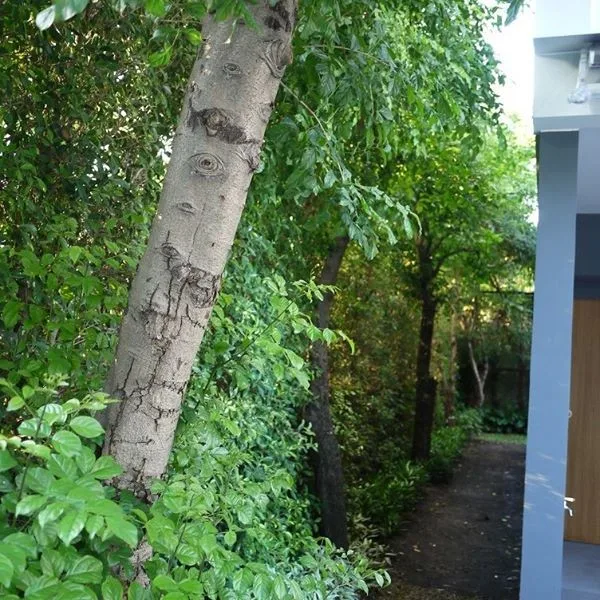 Property photos for Arden Pattanakarn