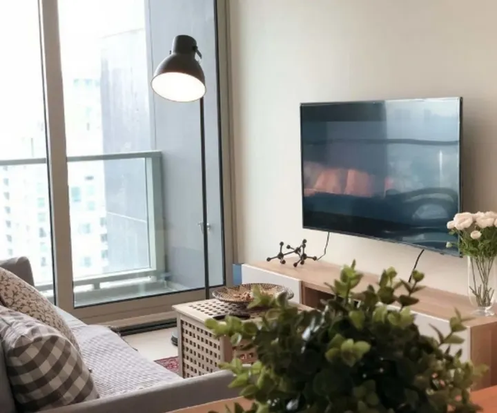 Property photos for The River