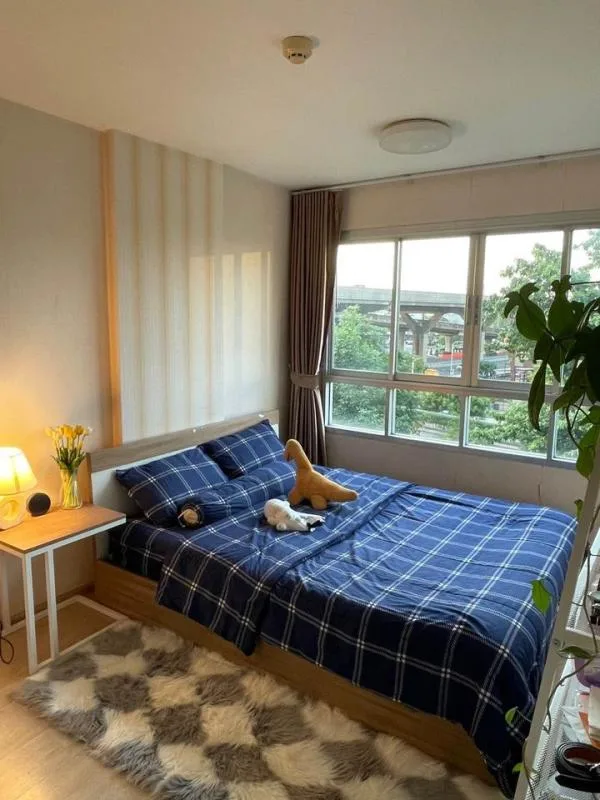 Property photos for Elio Condo