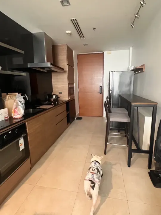 Property photos for Ashton Morph 38