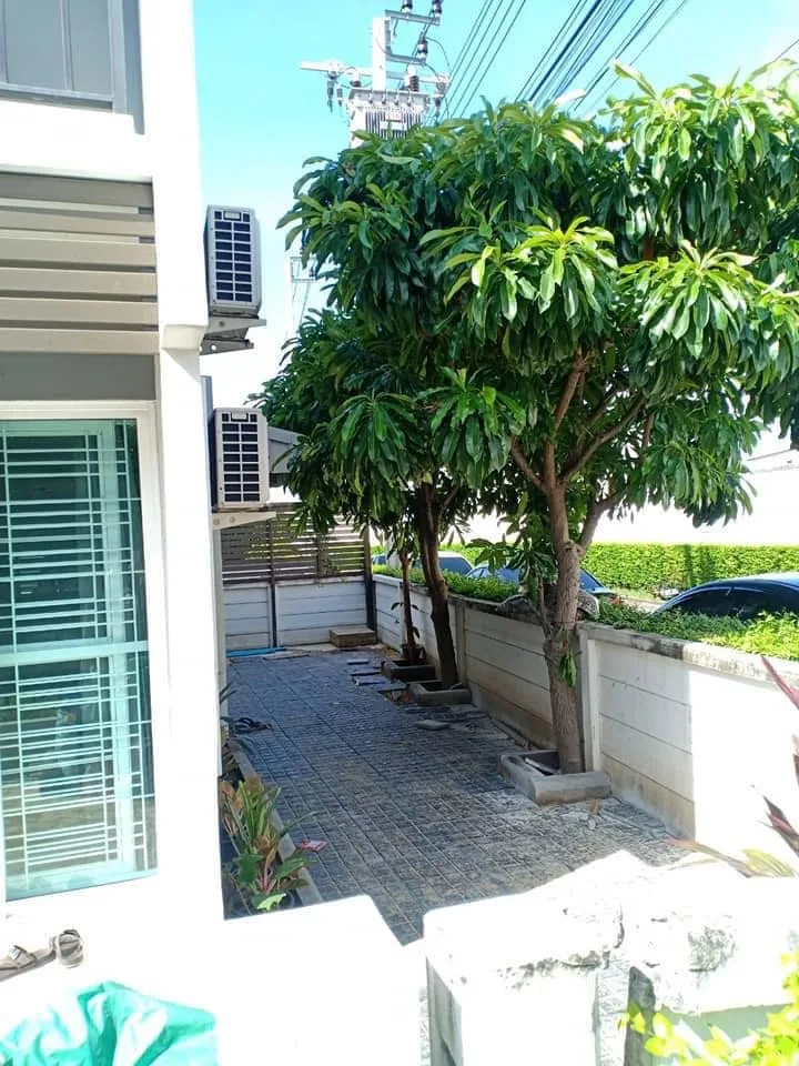Property photos for The Colors Premium Bangna Km.8