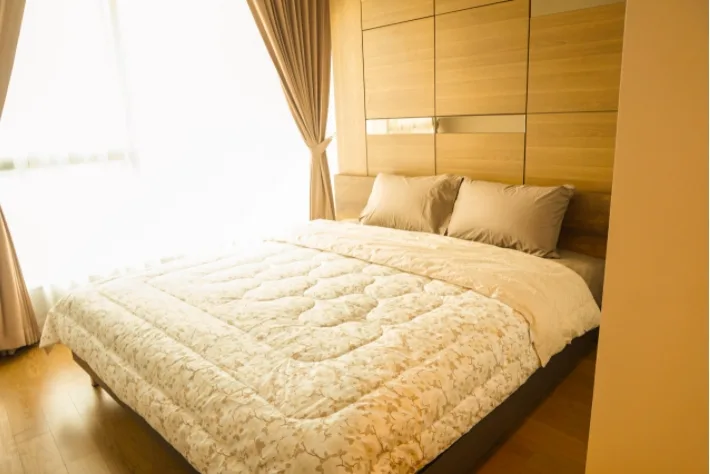 Property photos for The Lumpini 24