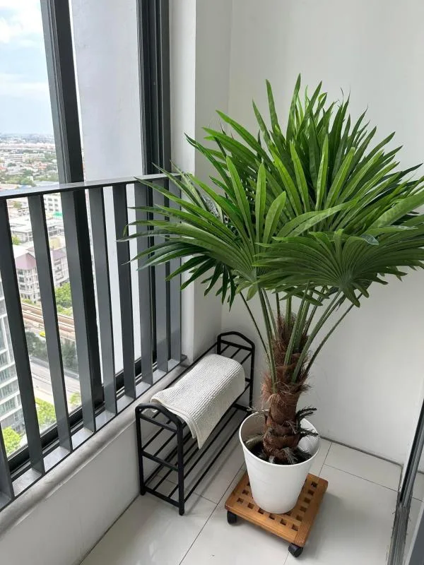Property photos for Ideo Mobi Sukhumvit 81