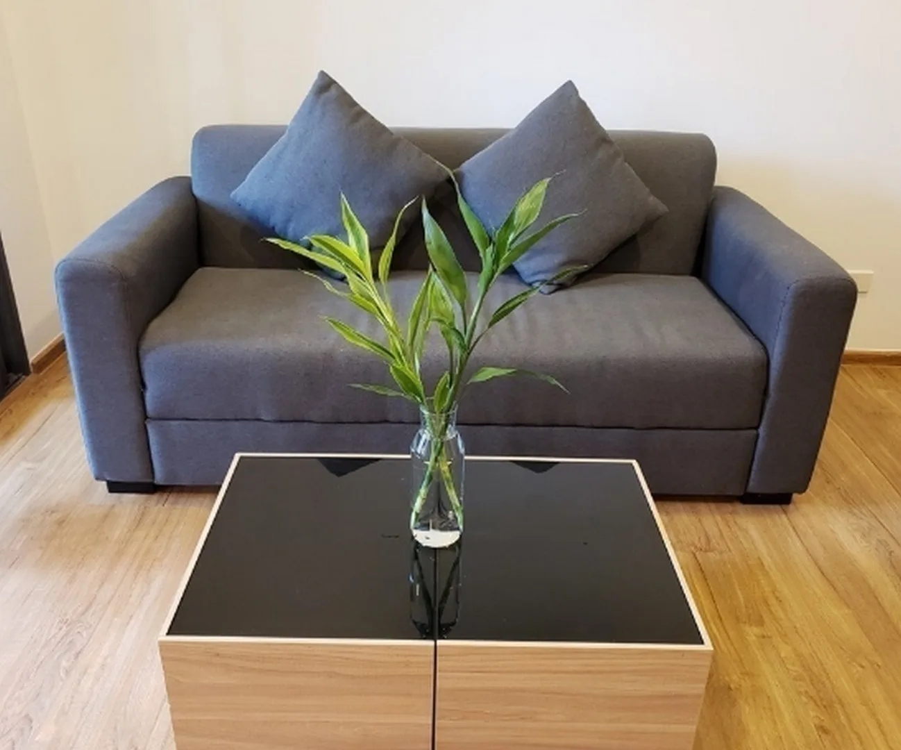 Property photos for Hasu Haus