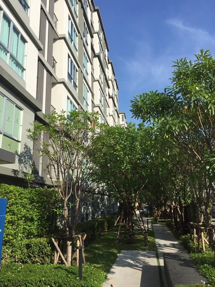 Property photos for D Condo Onnut - Suvarnabhumi