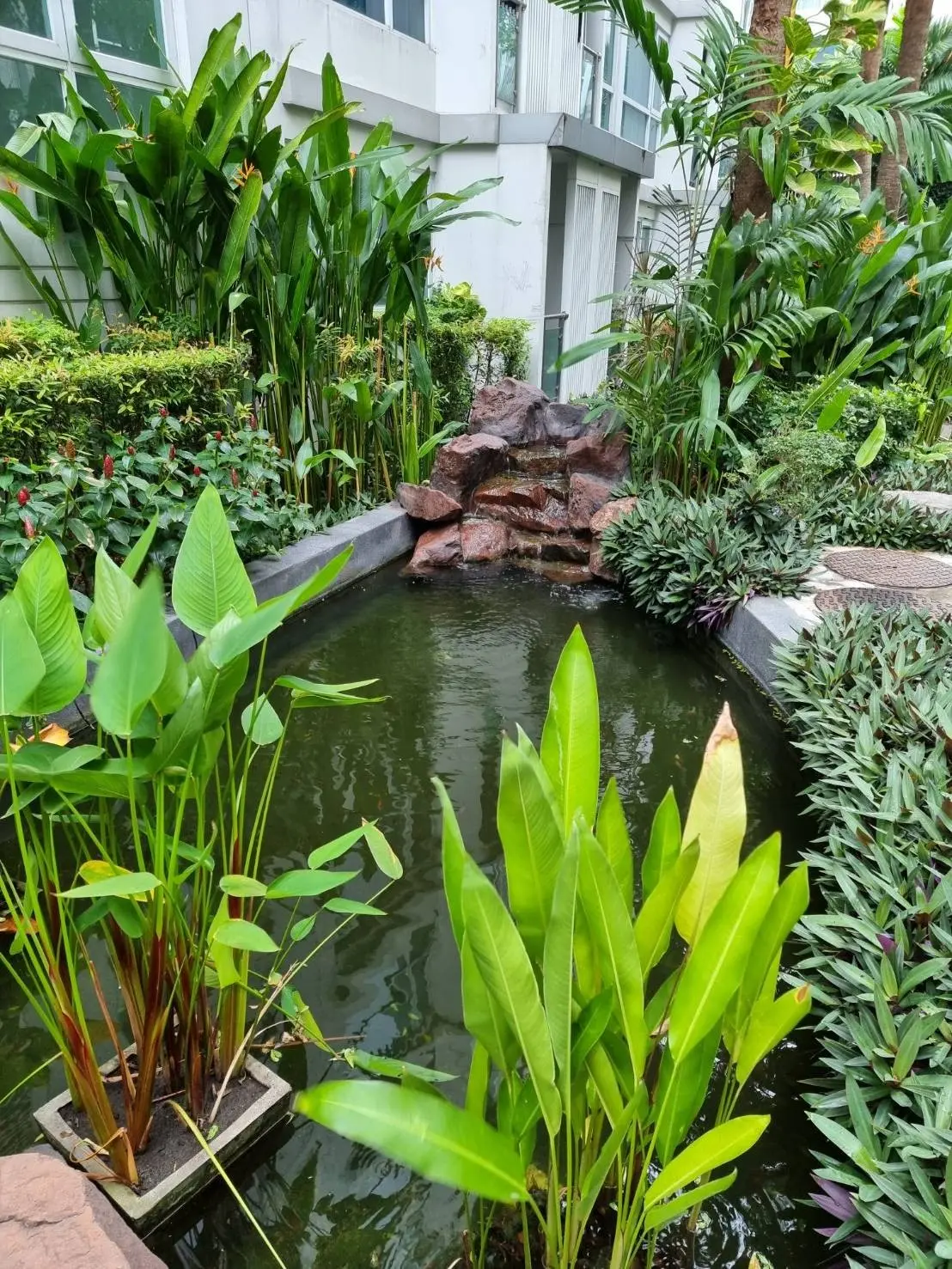 Property photos for Mayfair Place Sukhumvit 64