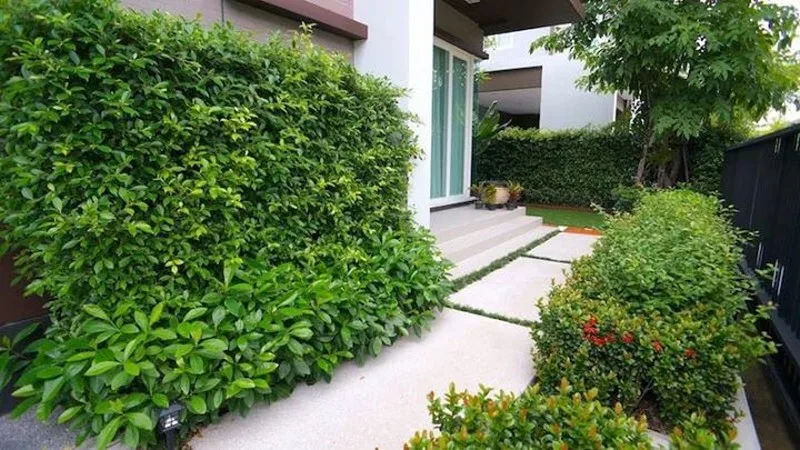 Property photos for Baan Ladawan Srinakarin