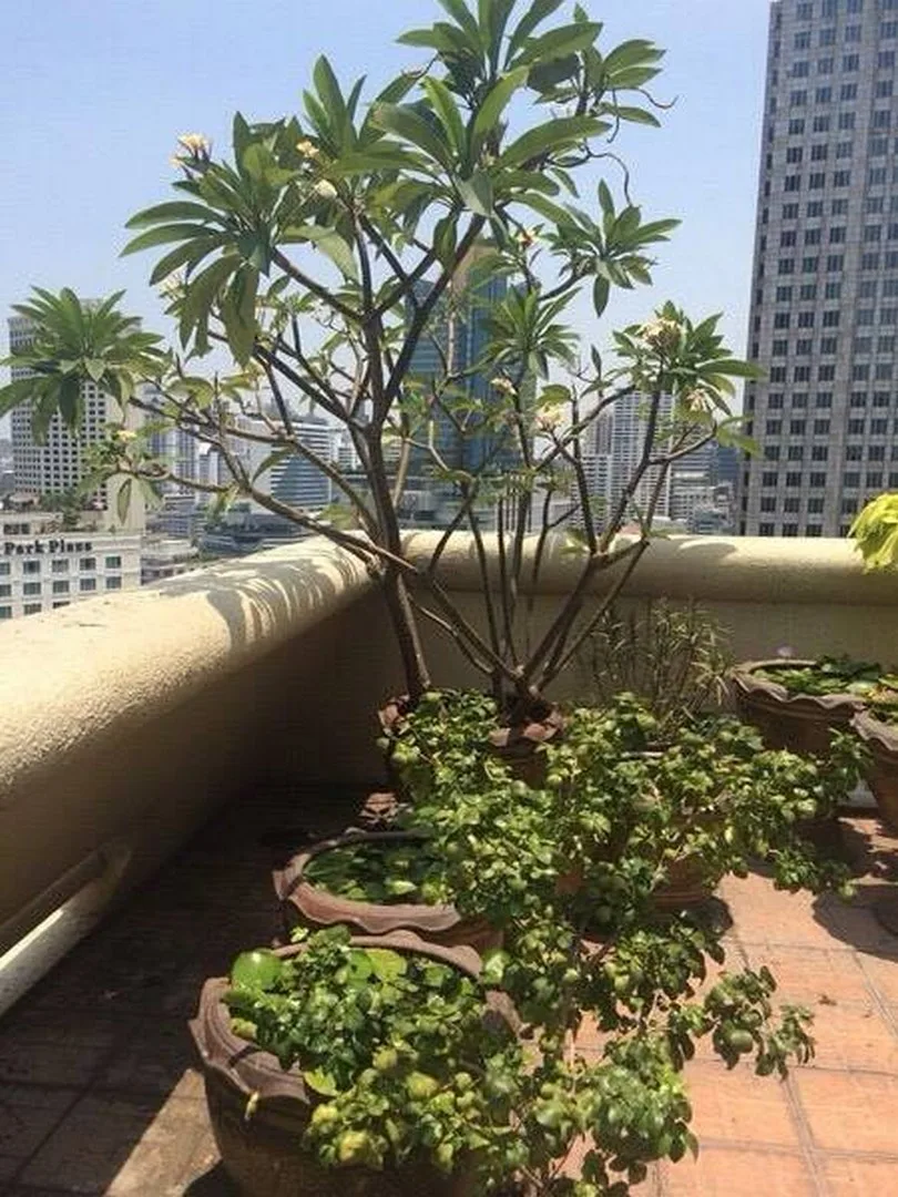 Property photos for City Lakes Tower Sukhumvit 16