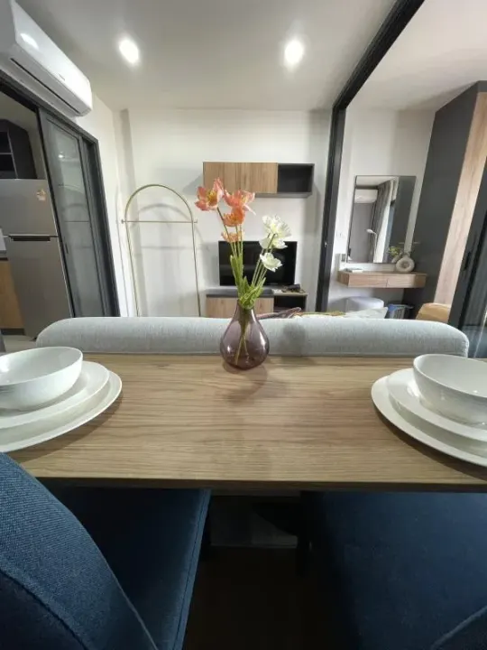 Property photos for The Line Vibe