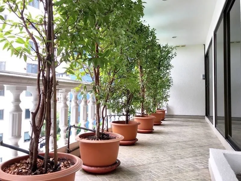 Property photos for Thonglor Garden