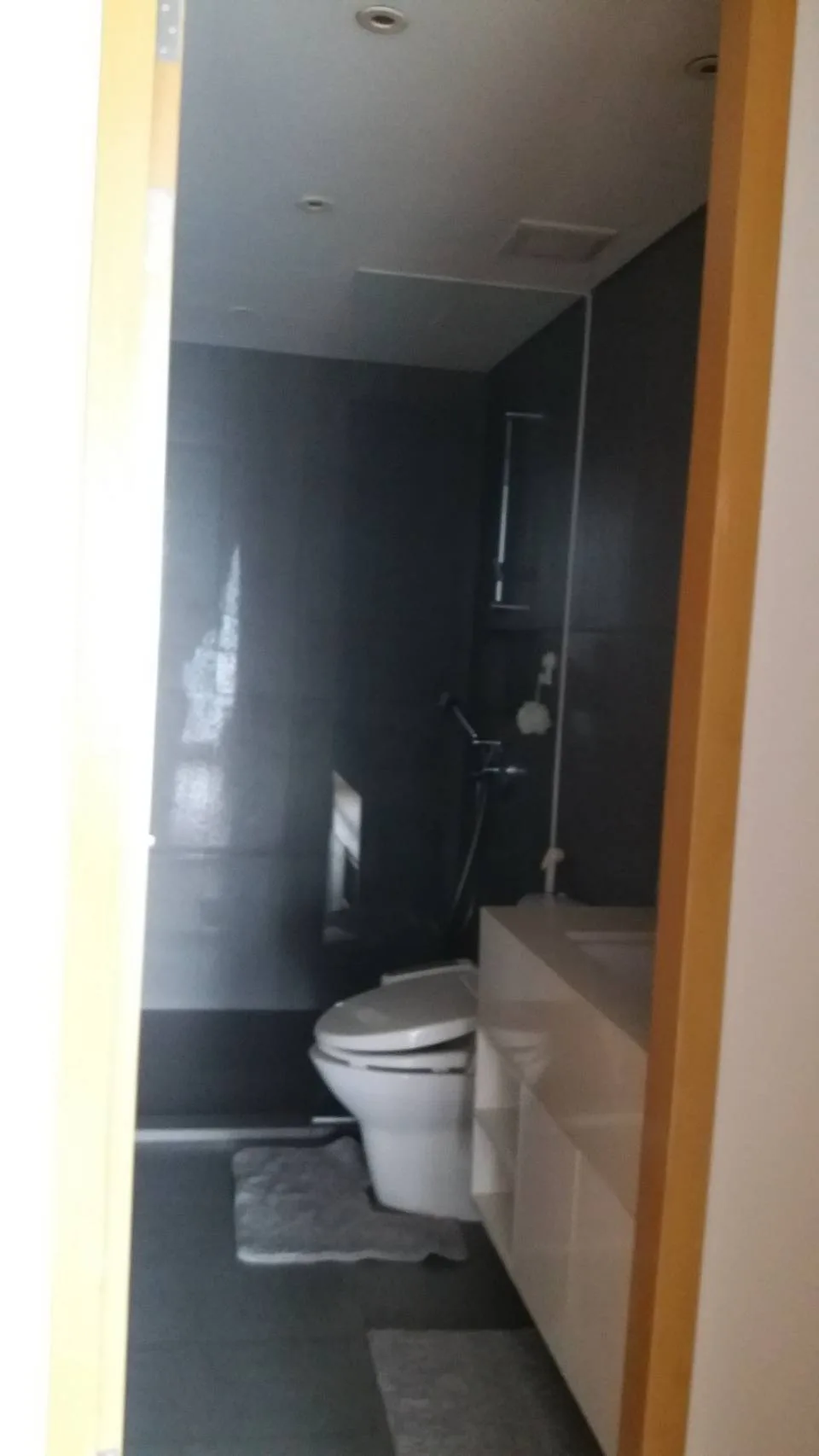 Property photos for Aequa Sukhumvit 49