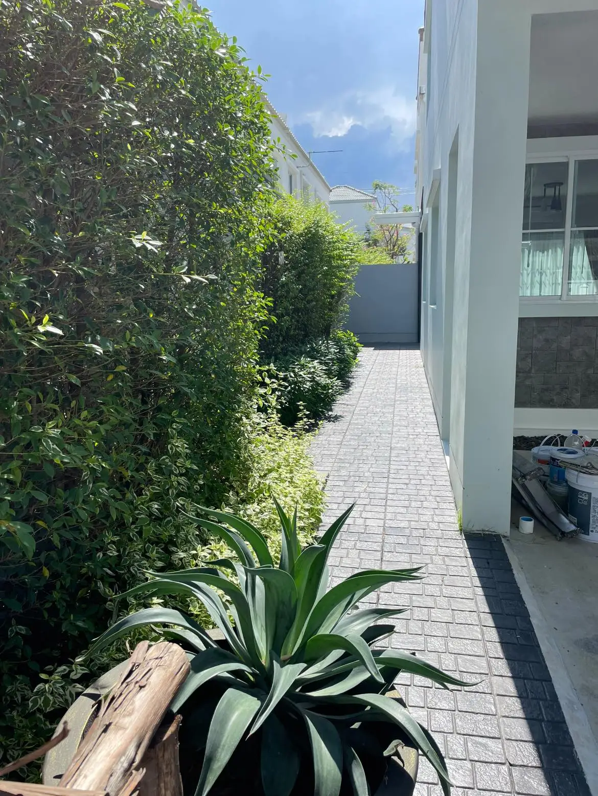 Property photos for Indy Bangna-ramkhamhaeng 2