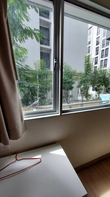 Property photos for My Condo Sukhumvit 81